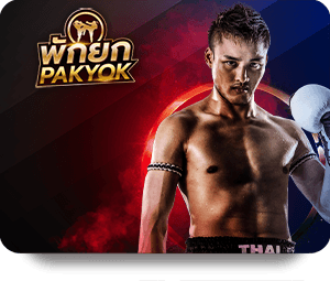 Why TK88 Xổ Số May Mắn is Gamblers\